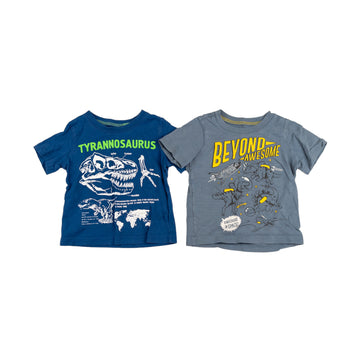 Carters t-shirt (set of 2) 18m