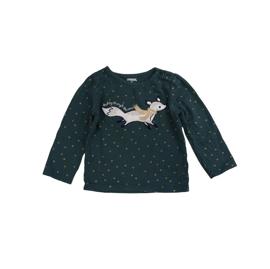 Gymboree long sleeve 2