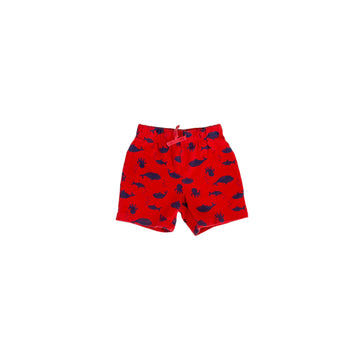 Carter's shorts 18m