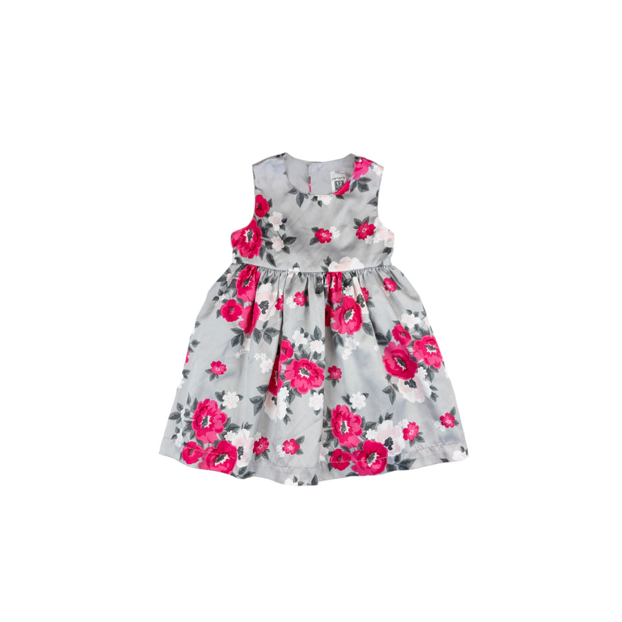 Carter's dress 12m