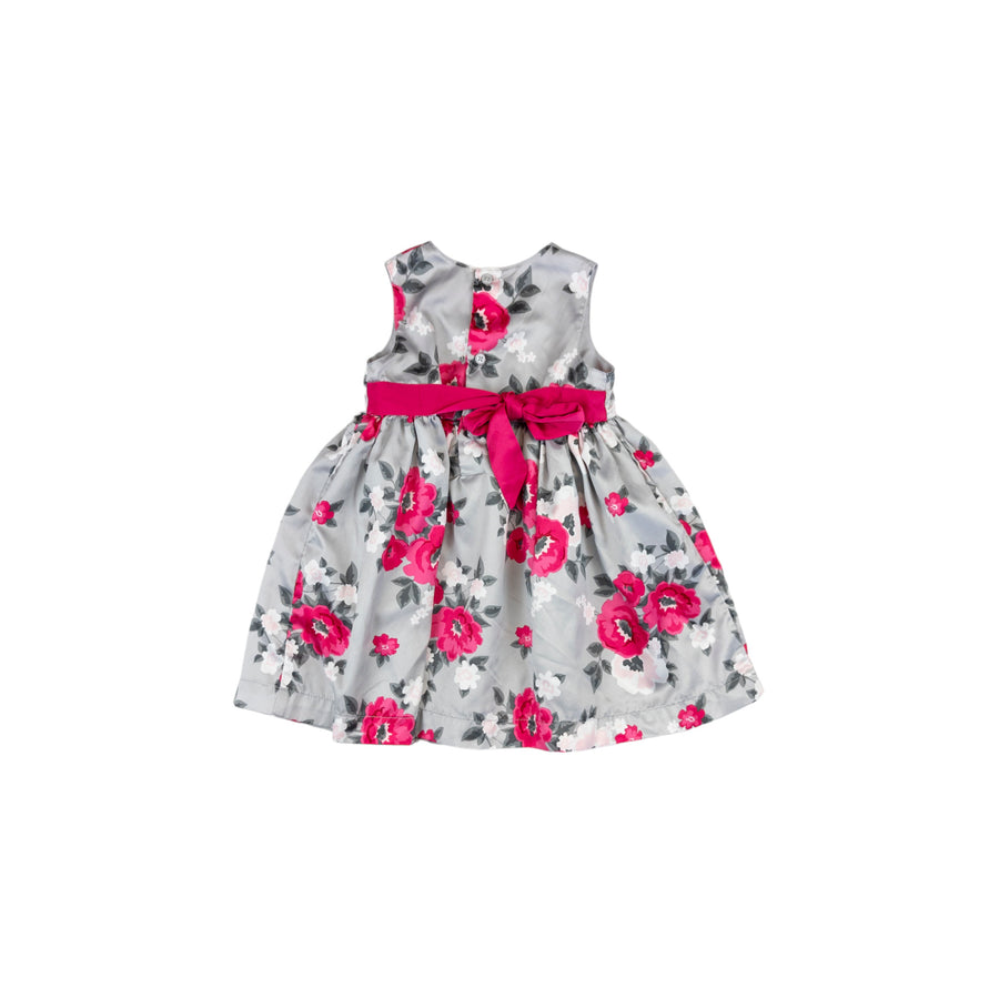 Carter's dress 12m