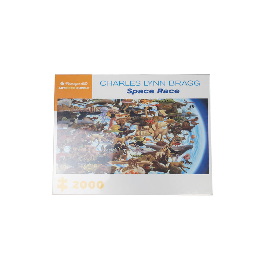 Space Race puzzle